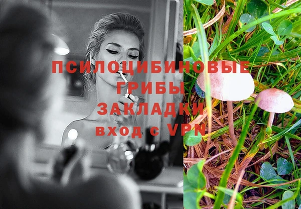 гашик Алексеевка