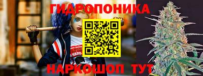 бутират Кингисепп