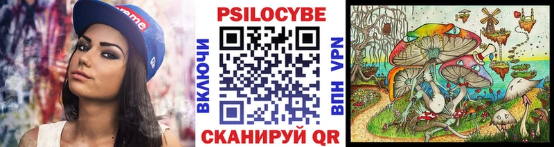 мега ТОР  Мурманск  Галлюциногенные грибы Psilocybe 