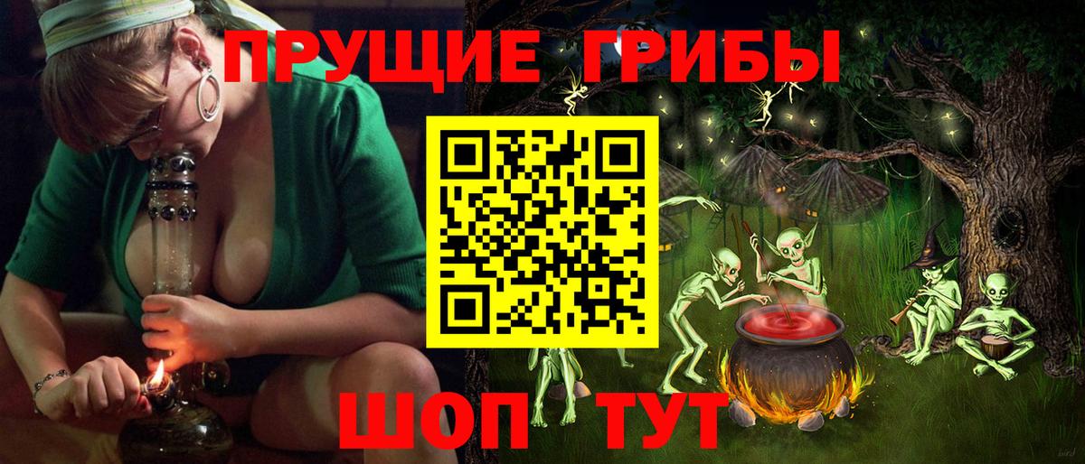 Псилоцибиновые грибы прущие грибы Мурманск