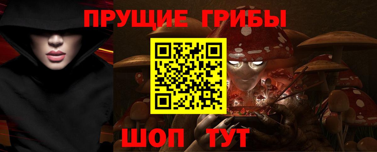 Галлюциногенные грибы Psilocybine cubensis  Вход с VPN  Мурманск 